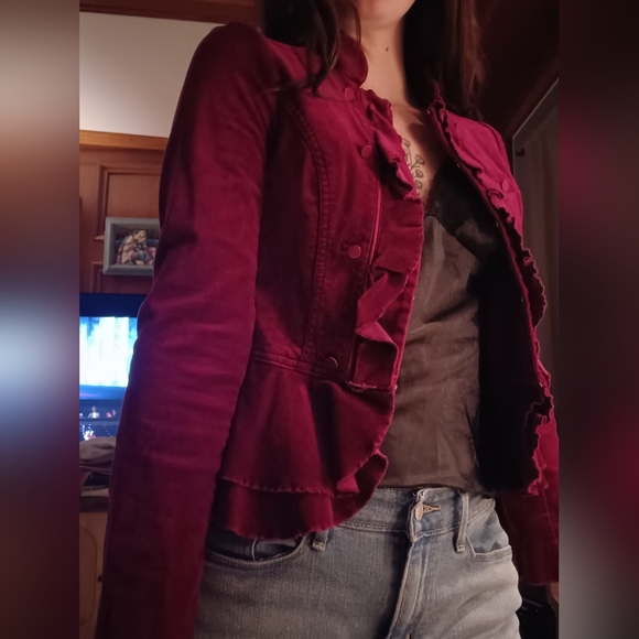 Velvet Blazer - Picture 6 of 12